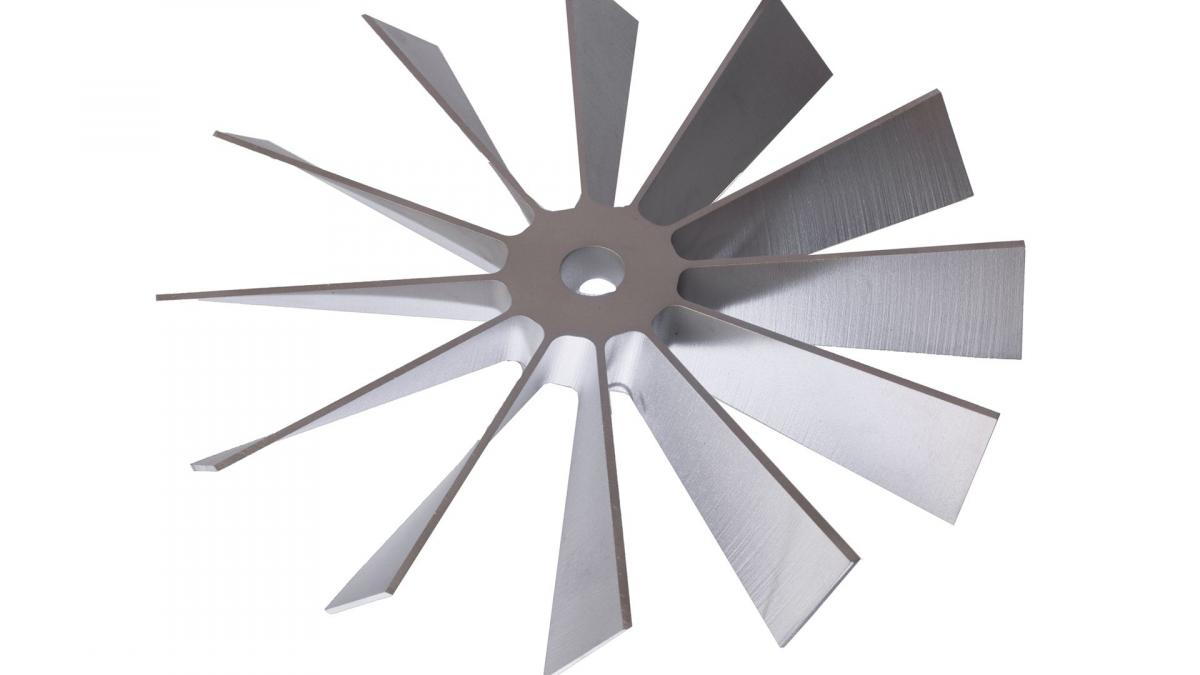 Naumann-Leipheim38-220211-frei-ohne blau_